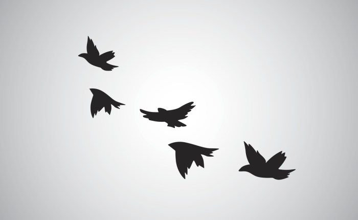 The Illusion of&nbsp;Freedom