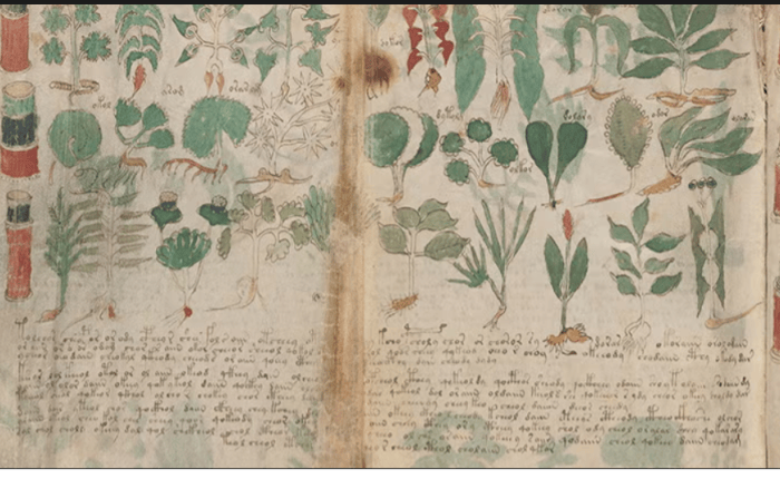 Demystifying the Voynich (Part 1): Beyond the Myths to a 15th-Century Bathhouse&nbsp;Manual